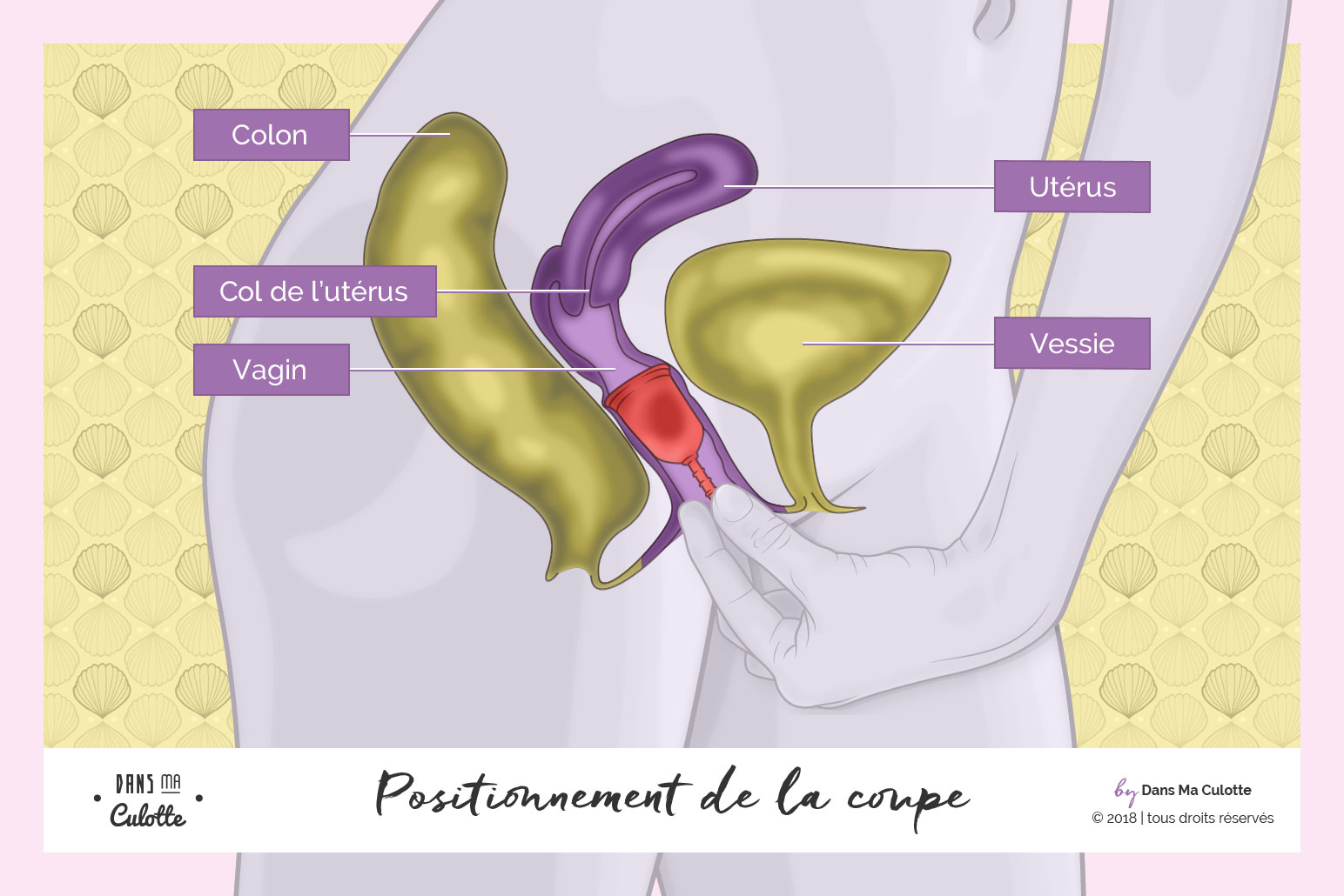 Dans Ma Culotte illustration : positionnement cup