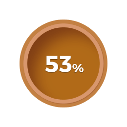 53%